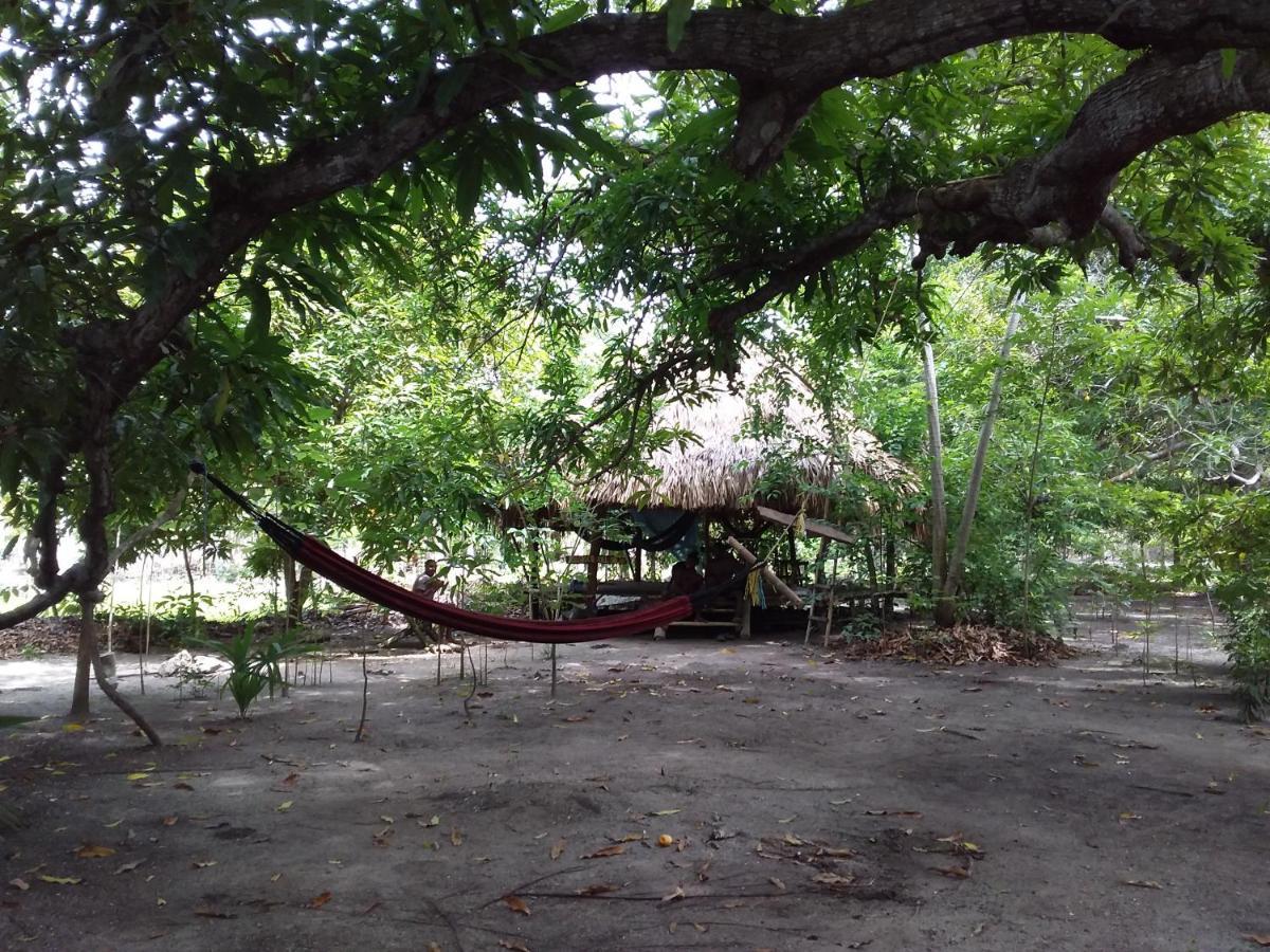 Eco-Camping Mango Feliz Rincon Del Mar San Onofre Eksteriør billede