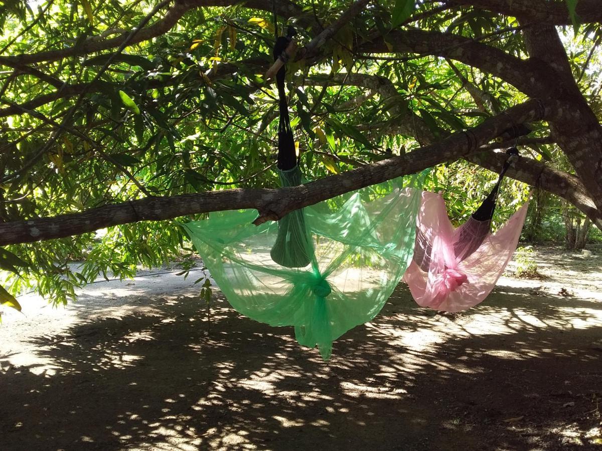 Eco-Camping Mango Feliz Rincon Del Mar San Onofre Eksteriør billede