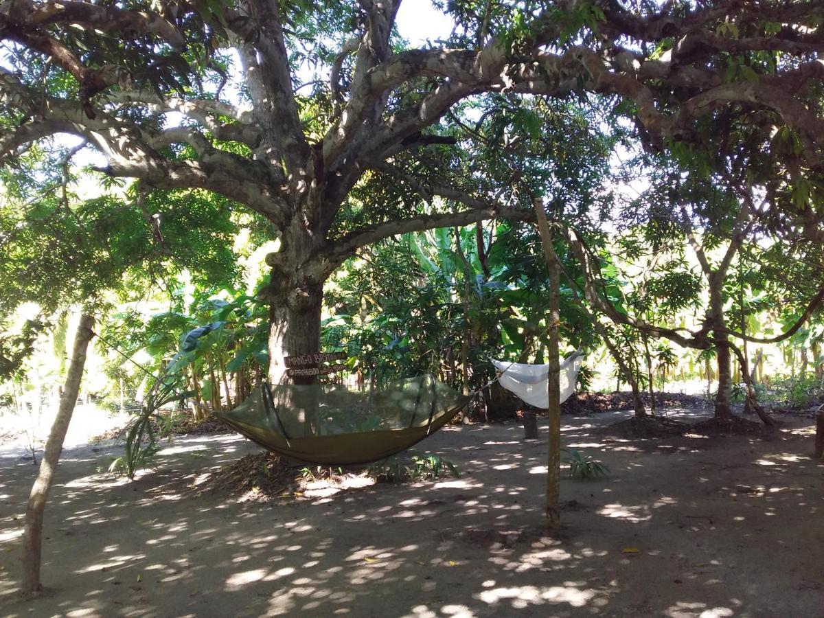 Eco-Camping Mango Feliz Rincon Del Mar San Onofre Eksteriør billede