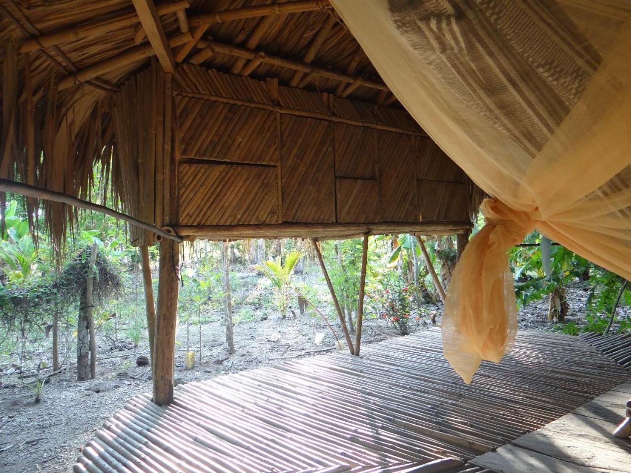 Eco-Camping Mango Feliz Rincon Del Mar San Onofre Eksteriør billede
