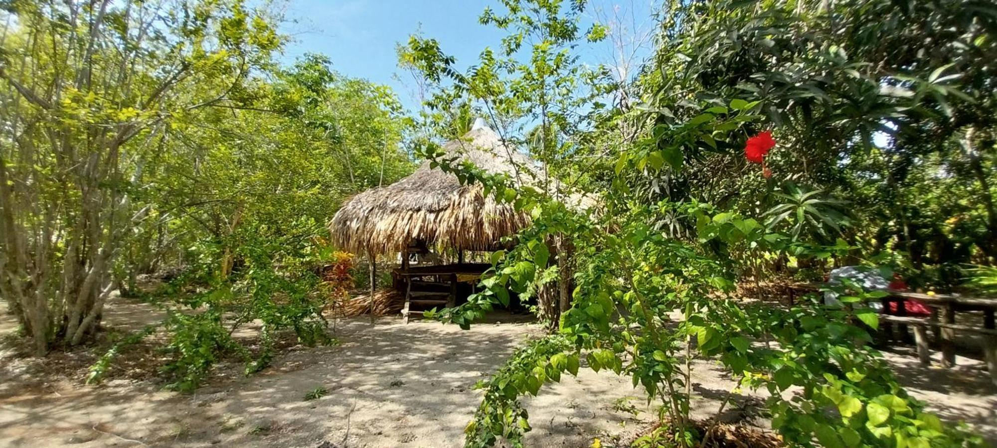 Eco-Camping Mango Feliz Rincon Del Mar San Onofre Eksteriør billede